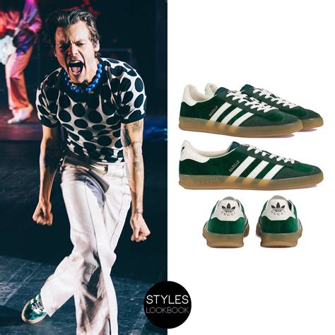 harry styles adidas gucci|gucci harry styles collection.